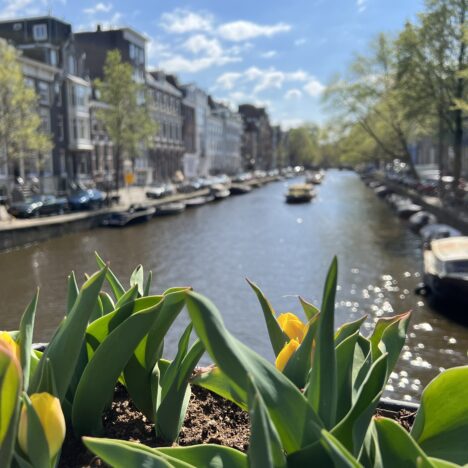 Zwischenstopp in Wiesbaden und Verschiffung in Antwerpen April 2022